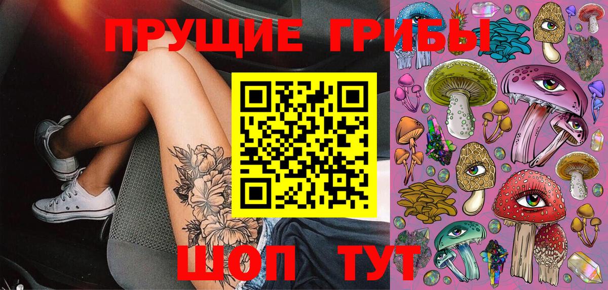Псилоцибиновые грибы мицелий  Вход с VPN  Элиста  цена   Галлюциногенные грибы Psilocybine cubensis 