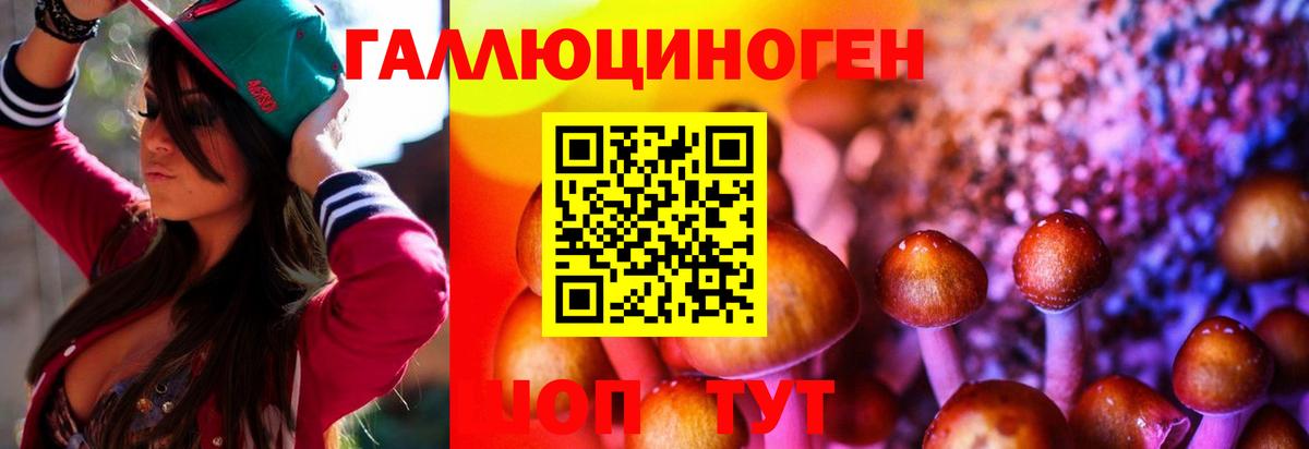 Псилоцибиновые грибы мухоморы Элиста